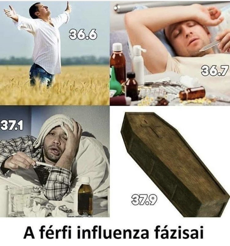 Férfi influenza fázisai